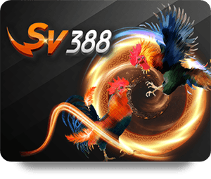 188BET Bóng Đá Pro: Những Tính Năng Nổi Bật Để Khám Phá